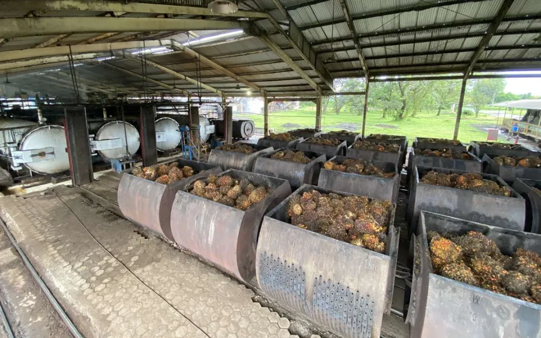 Pendapatan dan Laba Bersih Astra Agro Lestari (AALI) Naik pada Kuartal I 2026