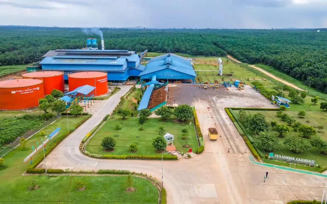 Sawit Sumbermas (SSMS) Tancap Gas pada 2026, Efisiensi dan Ekspansi Jadi Andalan